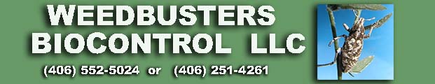 Weedbusters Biocontrol (406)552-5024